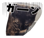 839705602