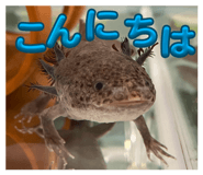 839705610