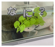 839705618