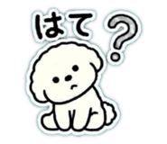 839705637