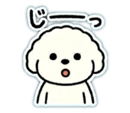 839705638