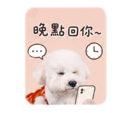 839706402
