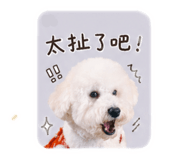 839706404