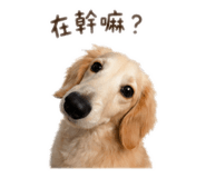 839706490