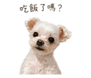 839706506