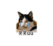 839706677