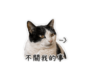839706685