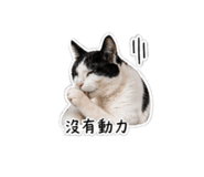 839706697
