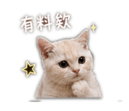 839707040