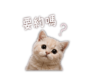 839707049