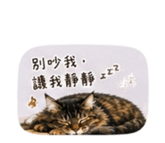 839707239