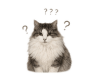 839707896