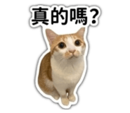 839708490