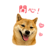 839708507