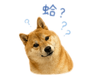 839708509