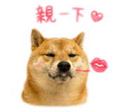839708520