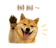 839708543
