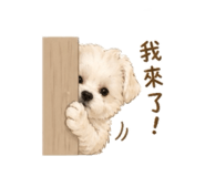 839708698