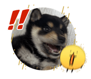 839709188