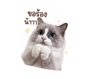 839709316