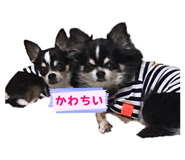 839709681