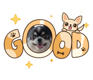 839709684