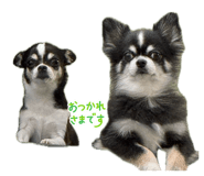 839709688
