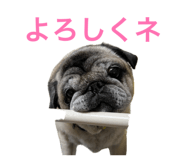 839710314