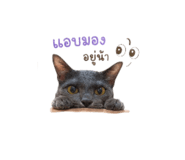 839711517