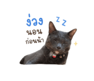 839711518