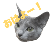 839711867