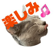 839711869