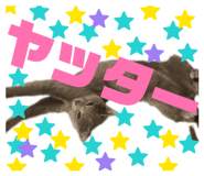 839711870