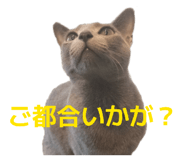 839711878