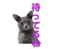 839711880