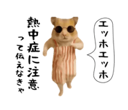 839711887