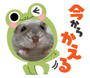 839711991