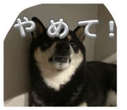 839712229