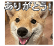 839712232