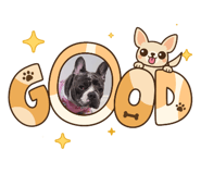 839712289