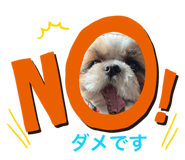 839712485