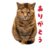 839712567