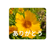 839713313