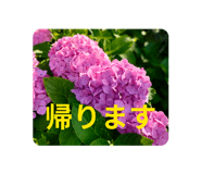 839713315