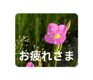 839713316