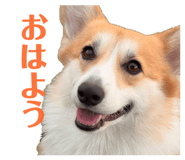 839713617
