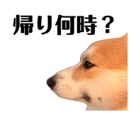 839713619