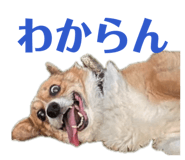 839713620