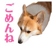 839713622