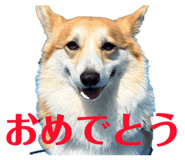 839713623